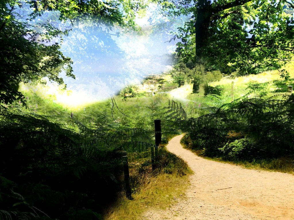 Diana in residence ‘Give the Night a Voice’ at Station Ellecom - Halte voor Kunst en Natuur for research and collaboration with artist and initiator Robin Weijers into deep darkness.